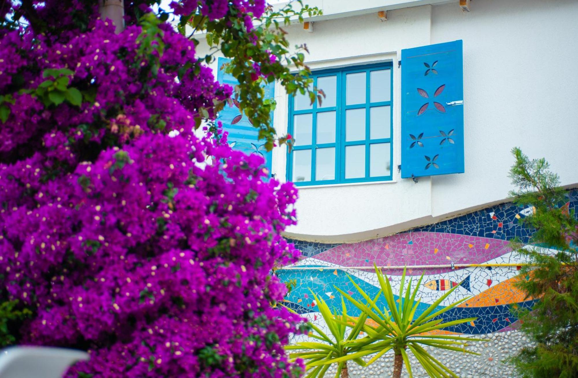 Bougainville Bay *