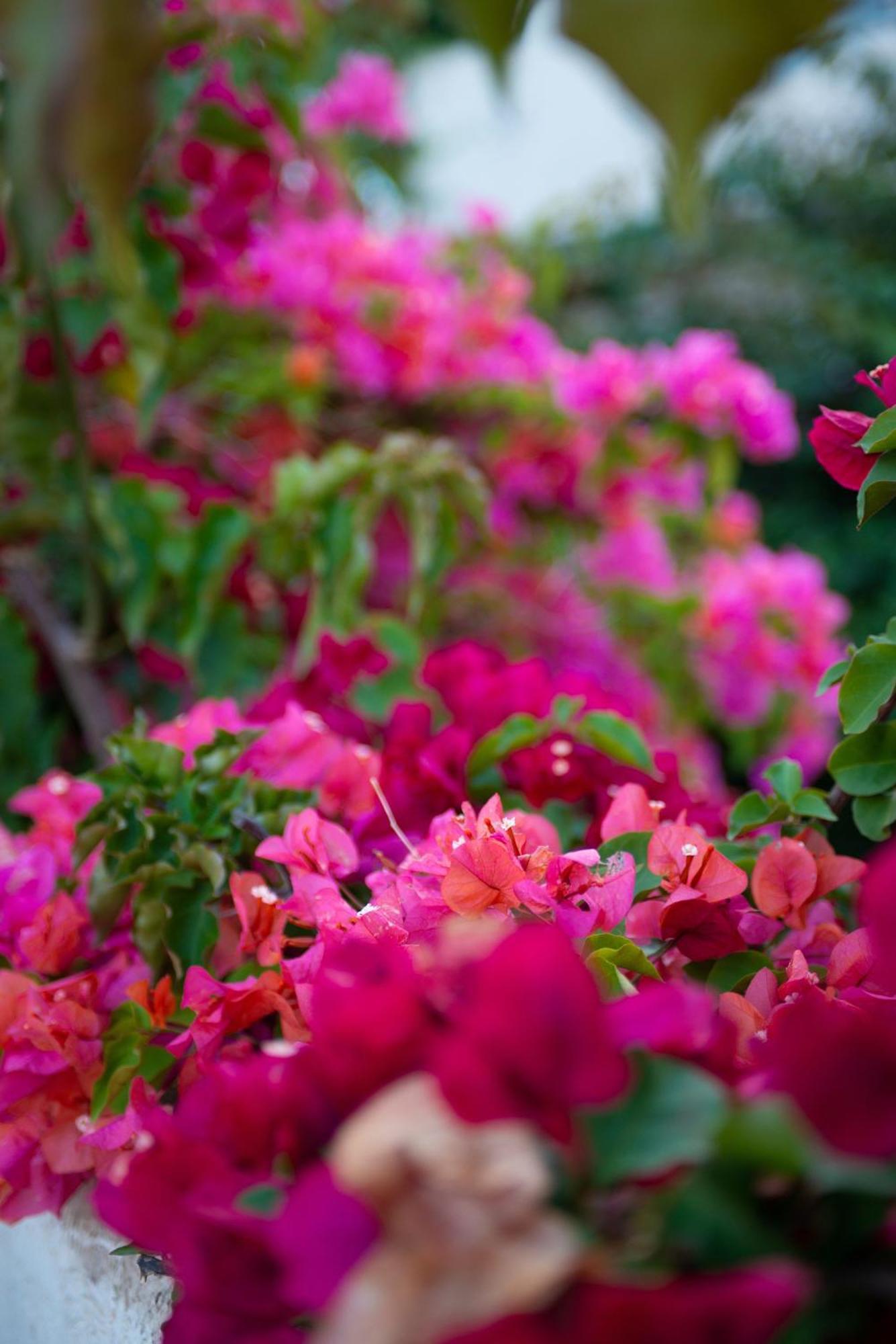 Bougainville Bay Sarande