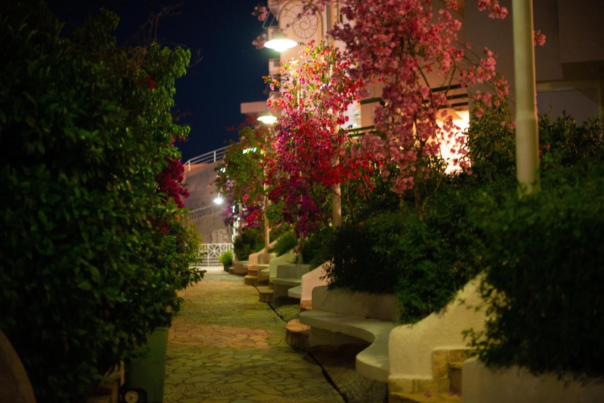 Apartment Bougainville Bay Sarande